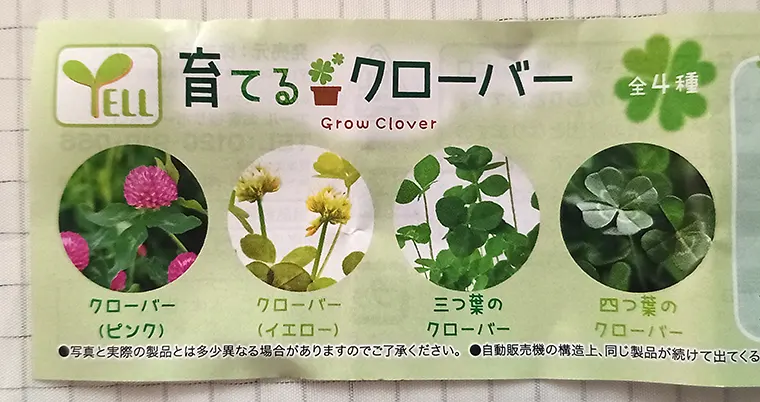 楽しい 育てるクローバーガチャガチャ 育成記録 花を咲かせたい
