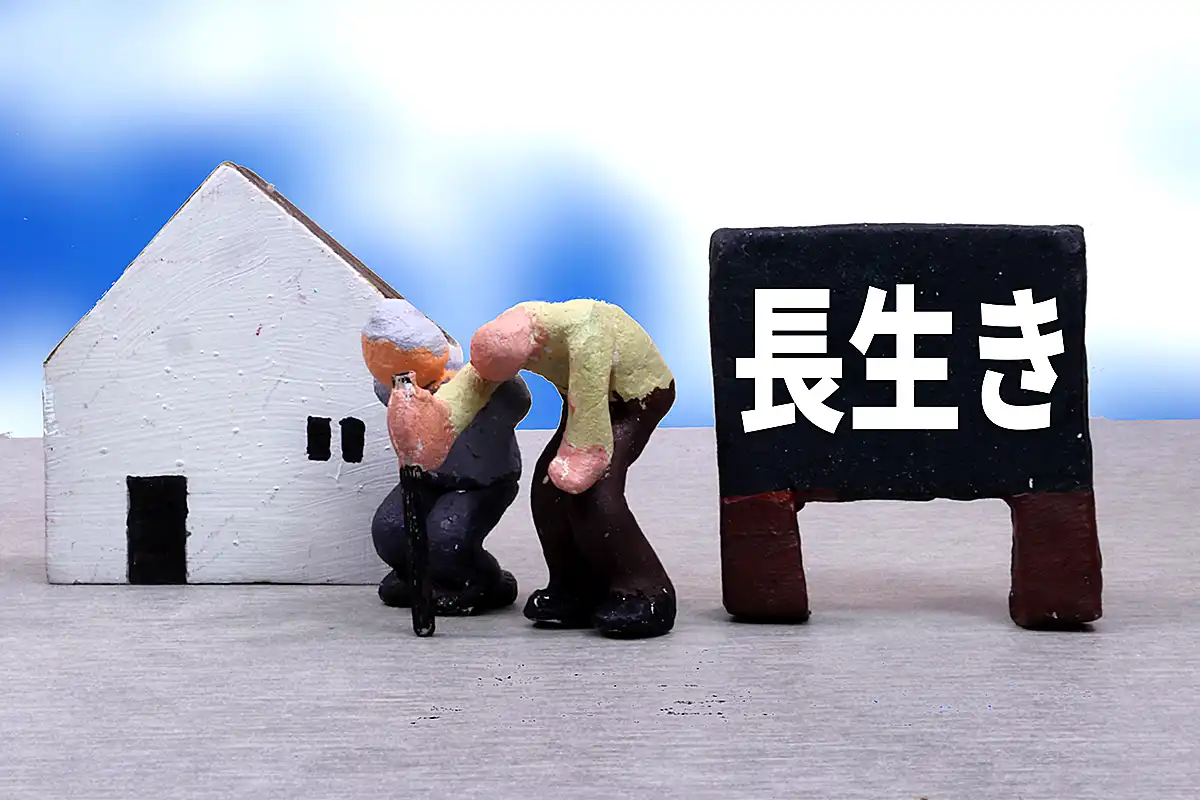 高齢夫婦